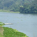 4a2cbd283d0f6.jpg