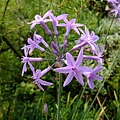 4a2cc30b296b5.jpg