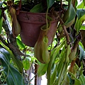 4a2cc60f262e1.jpg