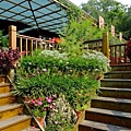 4a2cc63bd30c1.jpg
