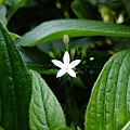 4a2cc688ebd7c.jpg