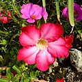 4a2cc6422aa94.jpg