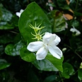 4a2cc62838d49.jpg