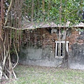 4a2cd53a1b714.jpg