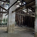 4a2cd55d85d46.jpg