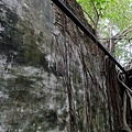 4a2cd56ca751d.jpg