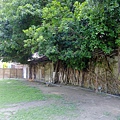 4a2cd579ec9d6.jpg