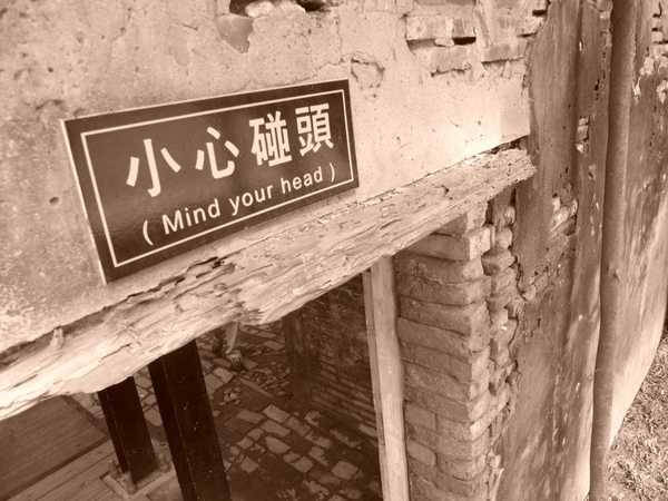 4a2cd587cc6ff.jpg