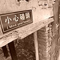 4a2cd587cc6ff.jpg