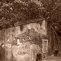4a2cd58d1a9d4.jpg