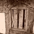 4a2cd5b075192.jpg