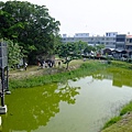 4a2cd5b98bb7c.jpg
