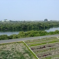 4a2cd5c47ac19.jpg