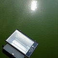 4a2cd5d9cda81.jpg