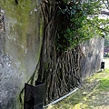 4a2cd5de277d7.jpg