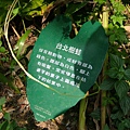 48bcbddb89200.jpg