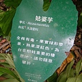 48bcbdde1f237.jpg