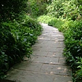 48bcbdf322189.jpg