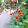 48bcbdf56542b.jpg