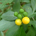 48bcbdfe7e438.jpg