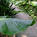48bcbe00a74da.jpg