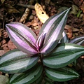 48bcbe0425ebc.jpg