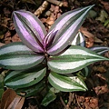 48bcbe065007a.jpg