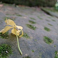 48bcbe0f86783.jpg