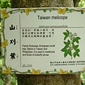48bcbe1f102f6.jpg