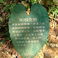 48bcbe2133736.jpg
