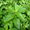 48bcbe282cef7.jpg