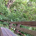 48bcbe31a75b1.jpg
