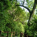 48bcbe3d50628.jpg