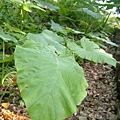 48bcbe49ef27a.jpg