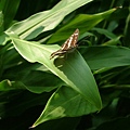 48bcbe4ec2494.jpg