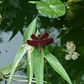 48bcbe52e5cee.jpg