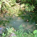 48bcbe5cc5dbb.jpg