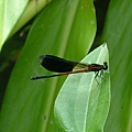 48bcbe632d0d2.jpg