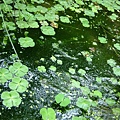 48bcbe69c391c.jpg