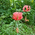 48bcbe6c638f9.jpg