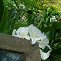 48bcbe6e85d82.jpg