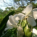 48bcbe7071955.jpg