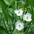 48bcbe7a77d0f.jpg