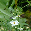 48bcbe7cc6362.jpg