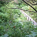 48bcbe8355c52.jpg