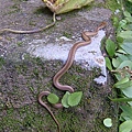 48bcbe854992b.jpg