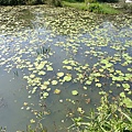 DSCF9409.JPG