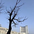 DSCF9474.JPG