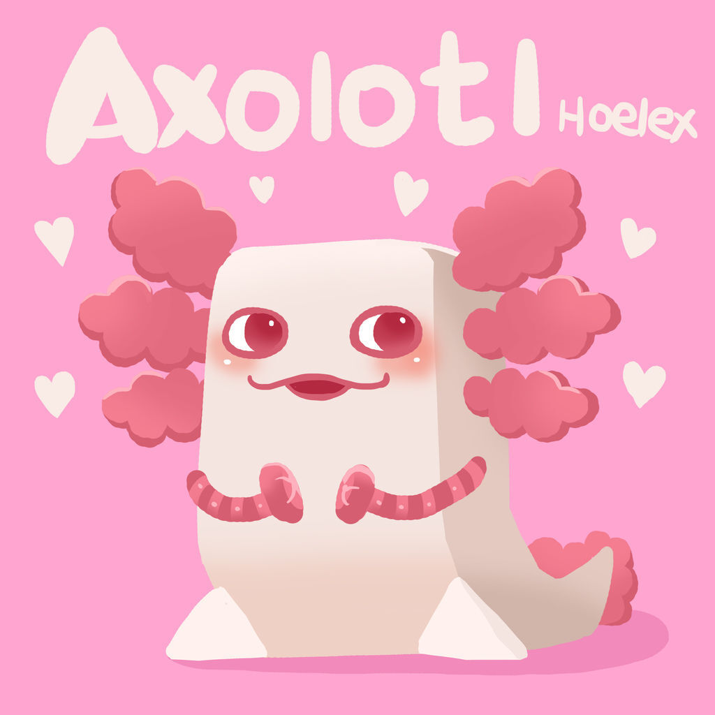 DoDo方塊-Axolotl六角恐龍-hoelex12.jpg