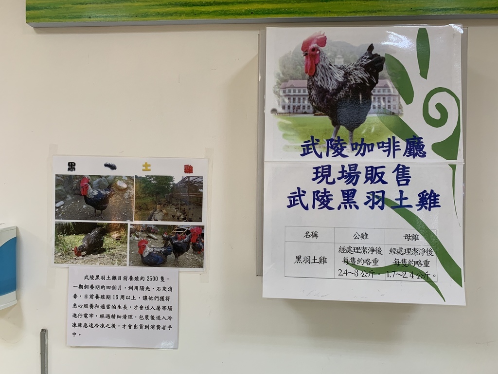 S__30654496.jpg 台東戒治所咖啡館-黑羽土雞